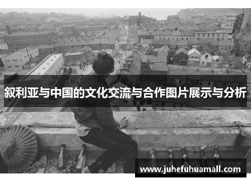 叙利亚与中国的文化交流与合作图片展示与分析