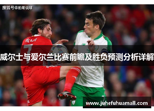 威尔士与爱尔兰比赛前瞻及胜负预测分析详解
