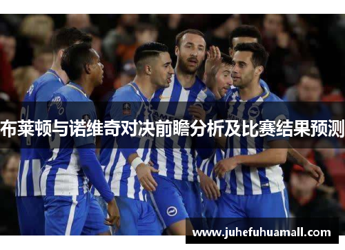 布莱顿与诺维奇对决前瞻分析及比赛结果预测